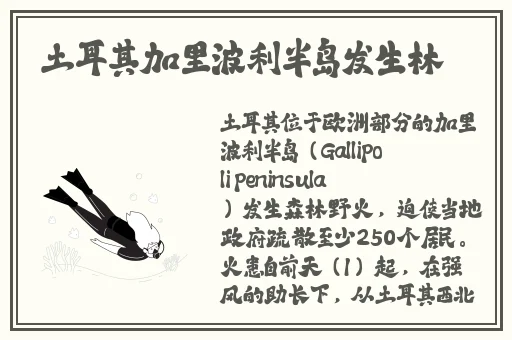 国产精品久久久久久精品2023